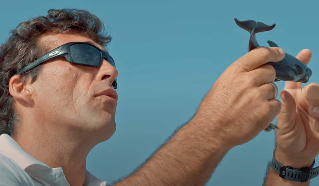 Whale Watch