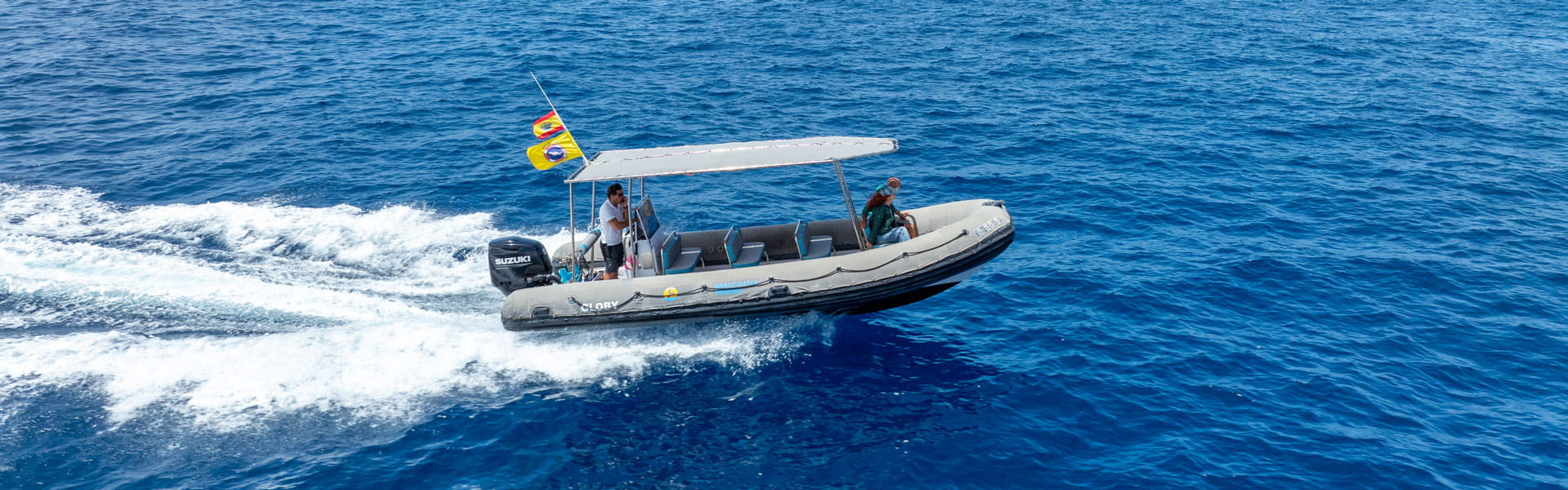 Whale Watch Tenerife