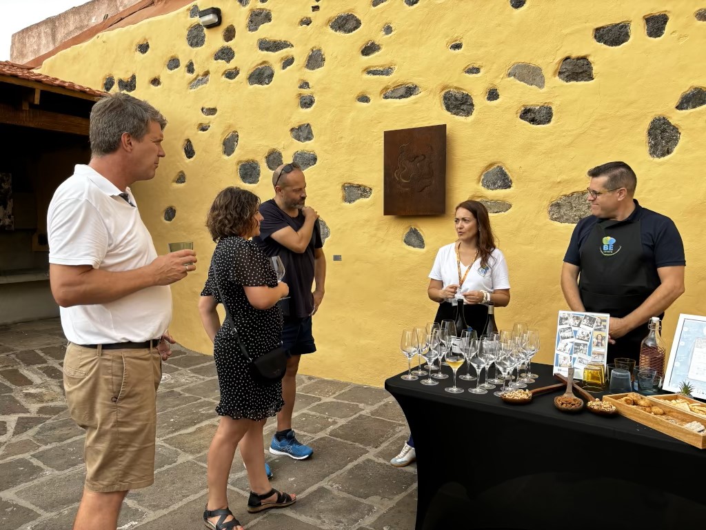 Grupo de personas en cata de vinos en Tenerife, junto a mesa con copas y aperitivos.
