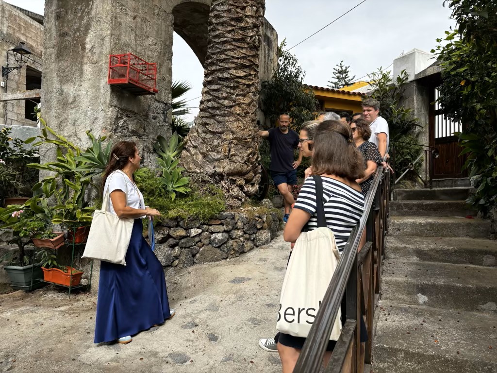 Personas conversan y observan plantas junto a una palmera en un jardín de Tenerife.