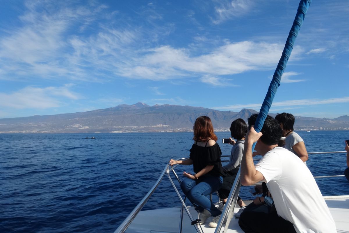 Personas observando el mar y montañas desde un barco en Tenerife.