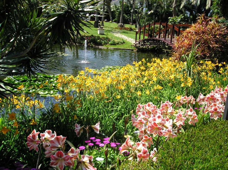 Jardín con flores y estanque con fuente y puente en Tenerife.