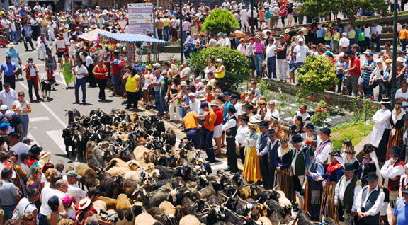 Romeria de la Esperanza