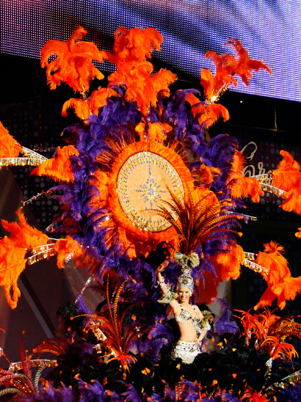 Carnaval de Santa Cruz de Tenerife con disfraz colorido y plumas.