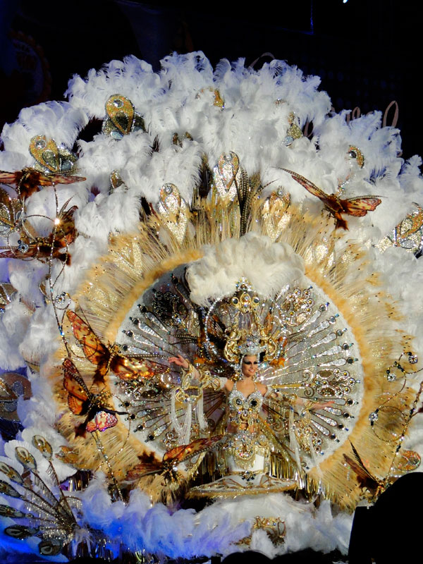 Traje de carnaval con plumas y mariposas en Santa Cruz de Tenerife.