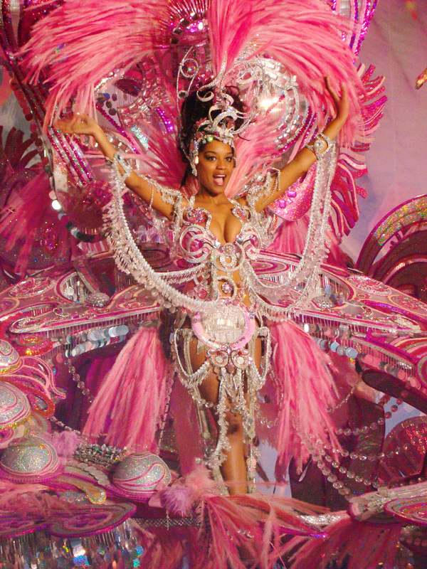 Persona con traje rosa y plumas en el Carnaval de Santa Cruz de Tenerife.