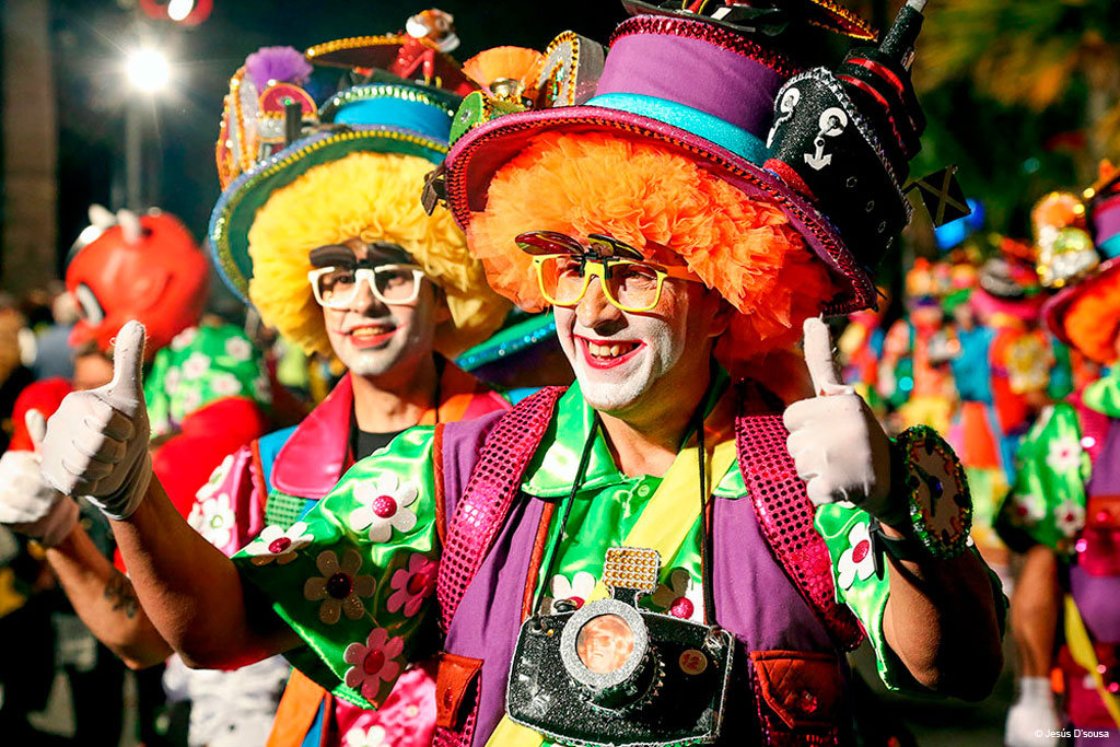 Persona en disfraz colorido durante el carnaval en Santa Cruz de Tenerife.