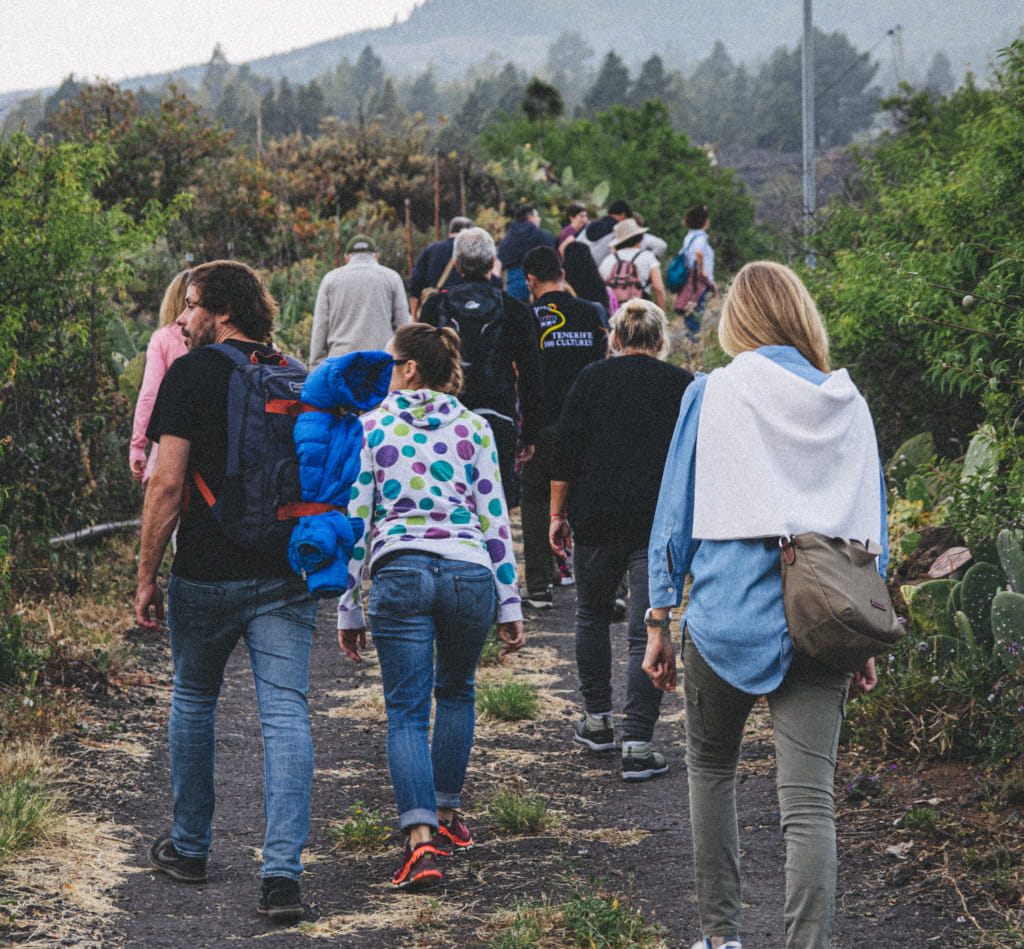 Personas caminando en un sendero rodeado de vegetación en Tenerife.