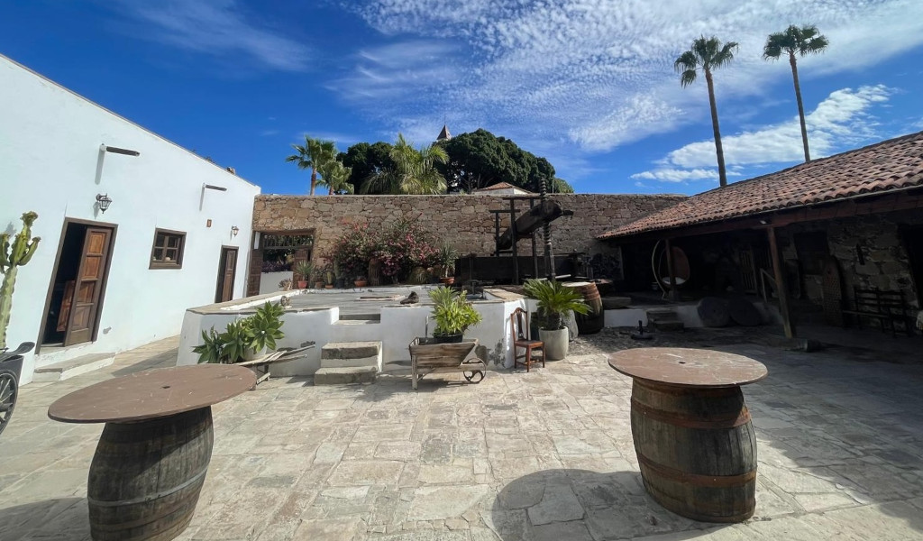 Patio tradicional con barriles y plantas en Icod de los Vinos, Tenerife.