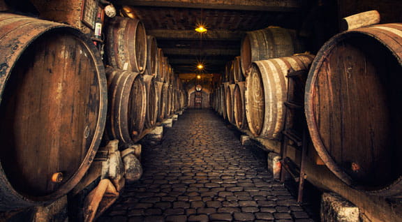 Bodegas