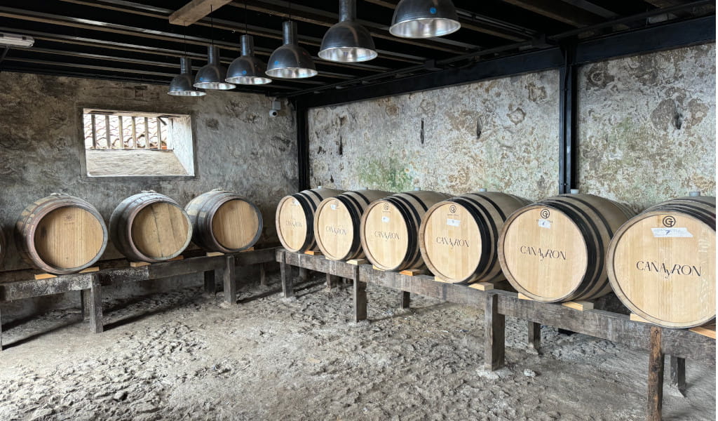 Barriles de vino en bodega de Tenerife etiquetados con CANARIO.