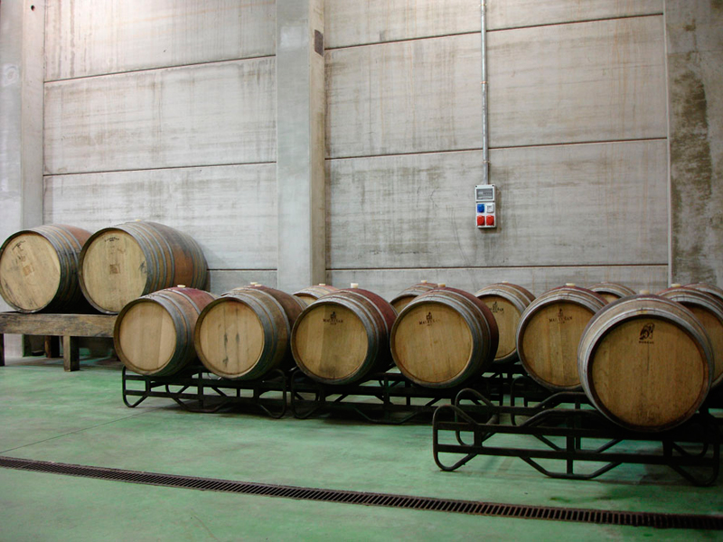Barriles de vino alineados en una bodega en Tenerife.