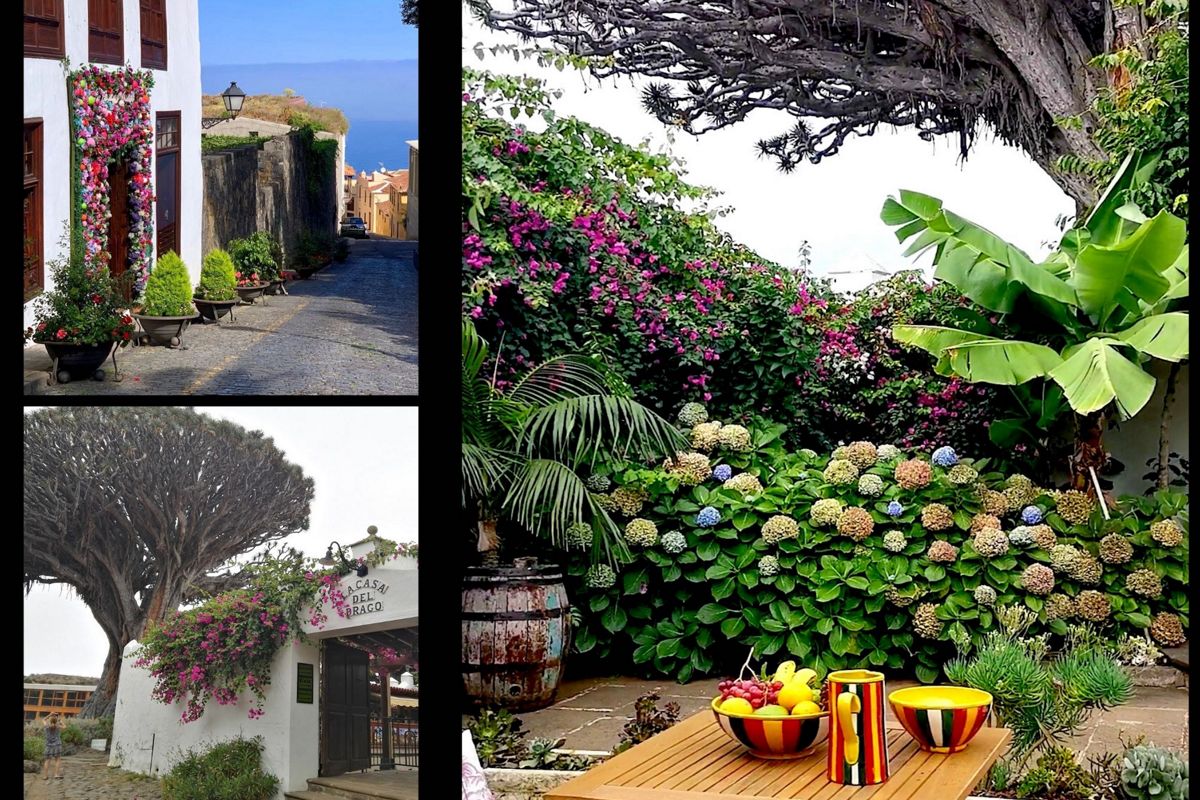 Calle empedrada con macetas y vistas al mar en Tenerife. Arbustos y flores en jardín de Tenerife. Entrada a Casa del Drago con árbol icónico en Tenerife.