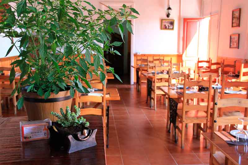 Restaurante en Tenerife con mesas y sillas de madera, planta decorativa en primer plano.