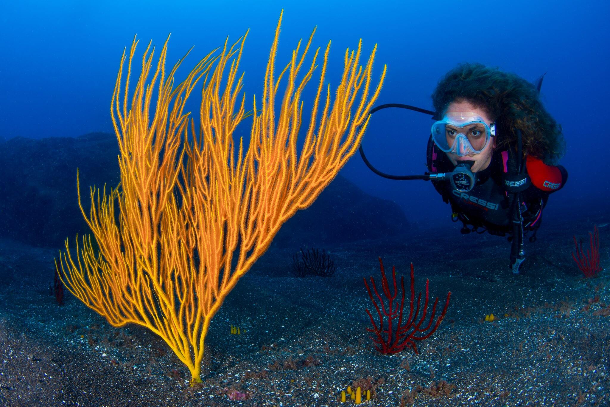 Buceo