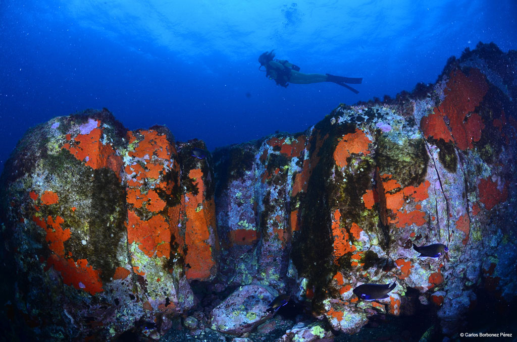 buceo-10.jpg