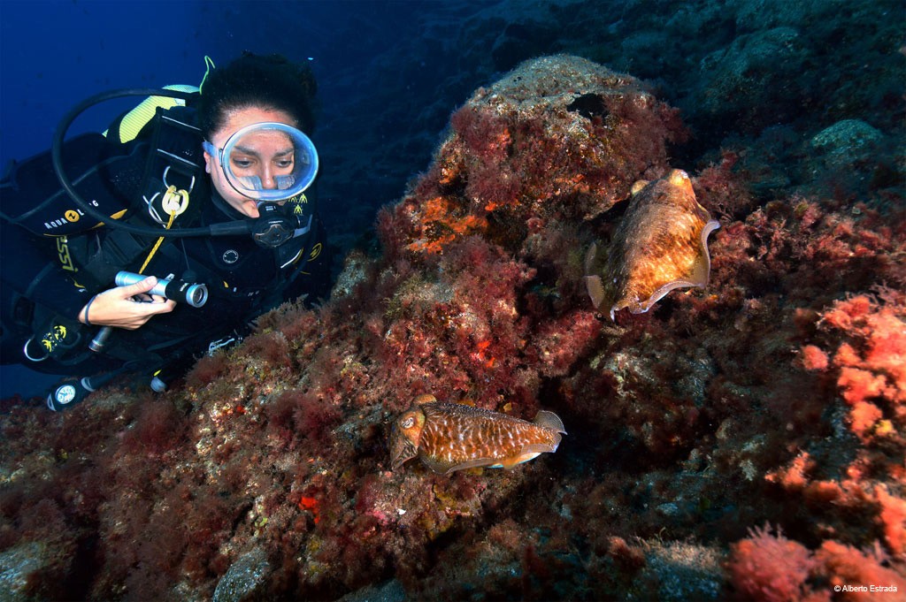 buceo-choco-sepia-09.jpg