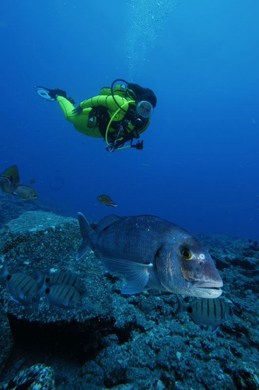 buceo-pez-17.jpg