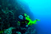 rapadura-tenerife.jpg