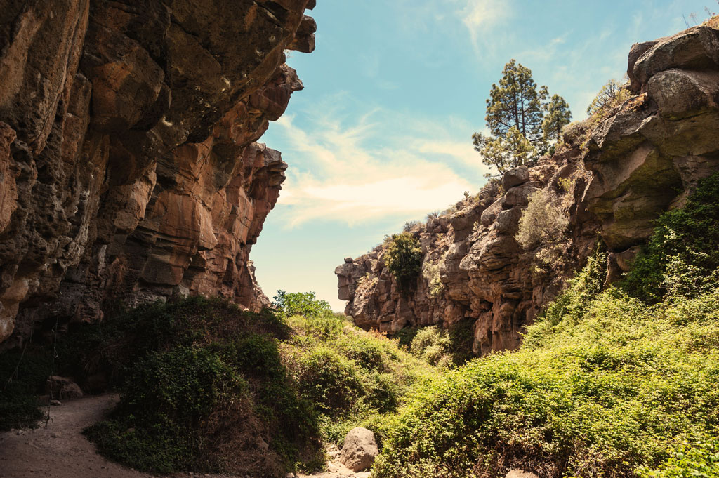 Barranco con vegetación y rocas en Tenerife, bajo un cielo parcialmente nublado.