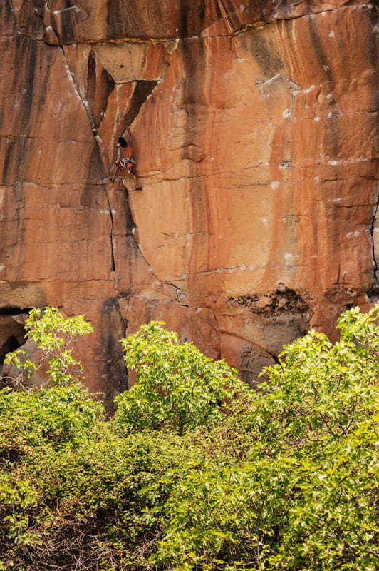 Escalador subiendo una pared de roca naranja en Tenerife, rodeada de vegetación verde.