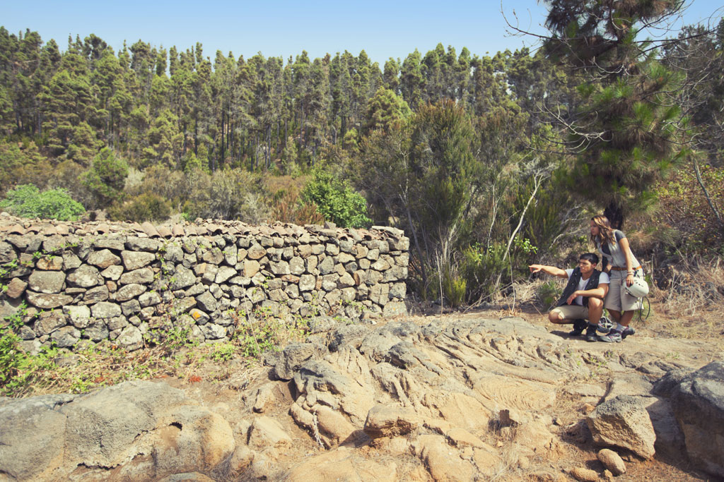 Personas observando un muro de piedra en un bosque de Tenerife.