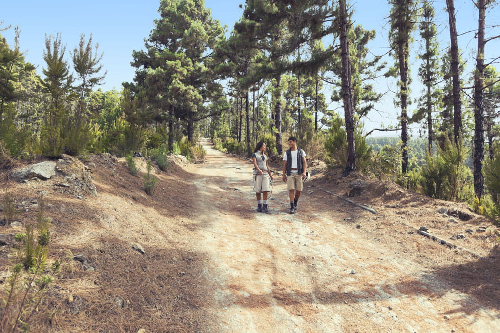 Pareja caminando por sendero rodeado de pinos en Tenerife.