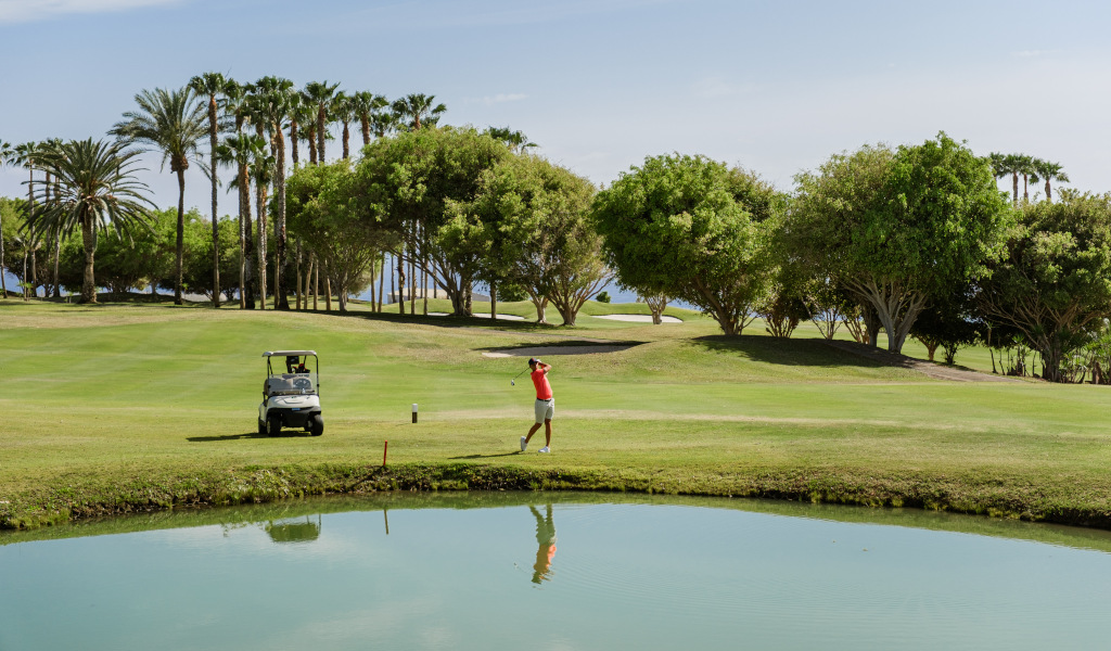 Persona jugando al golf en un campo con palmeras y carrito en Tenerife.