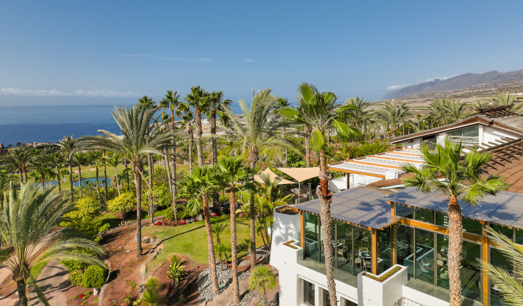 Instalaciones rodeadas de palmeras con vista al océano en Tenerife.