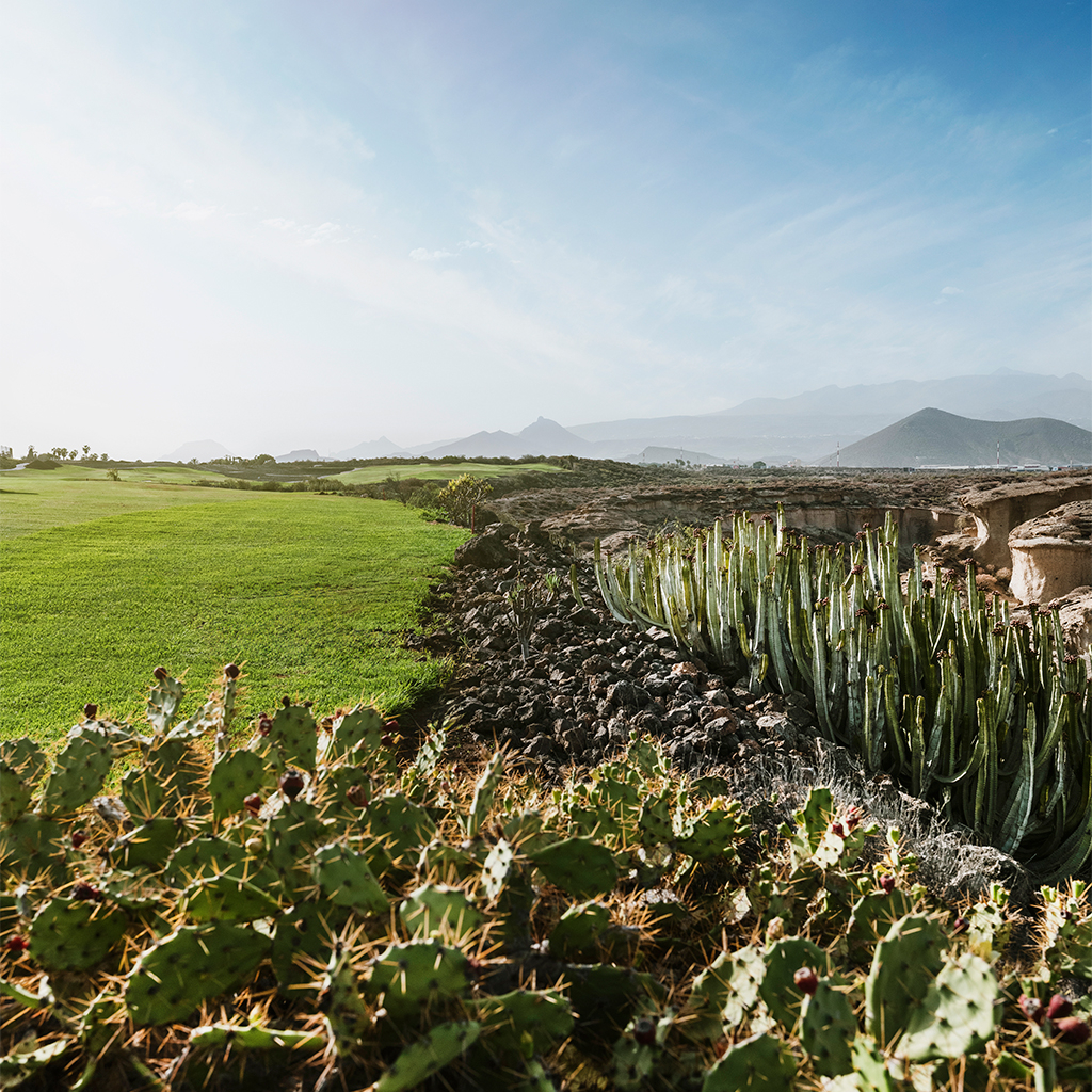 golf-del-sur-3