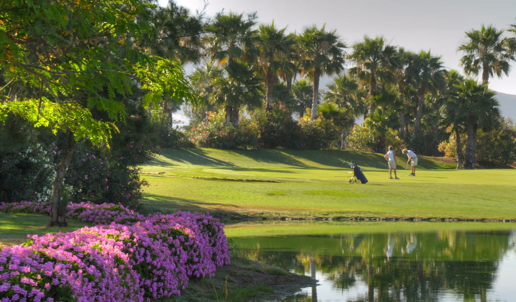 Personas jugando al golf en campo con palmeras en Tenerife.