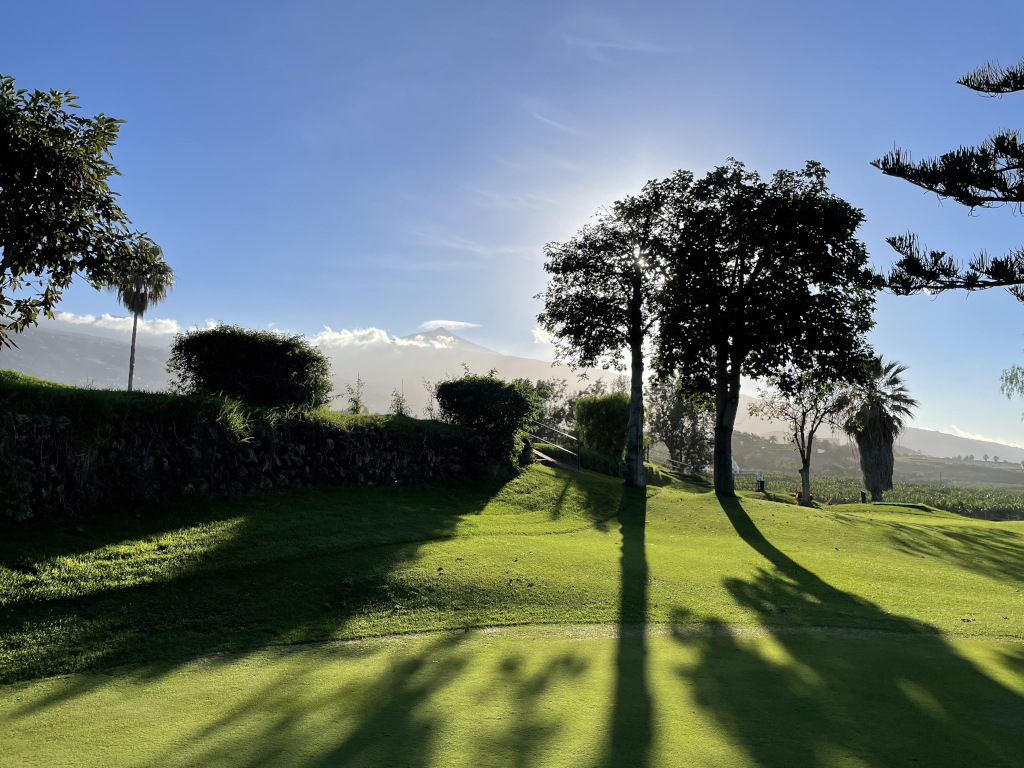 Árboles y césped bajo el sol con fondo de montañas en Tenerife.