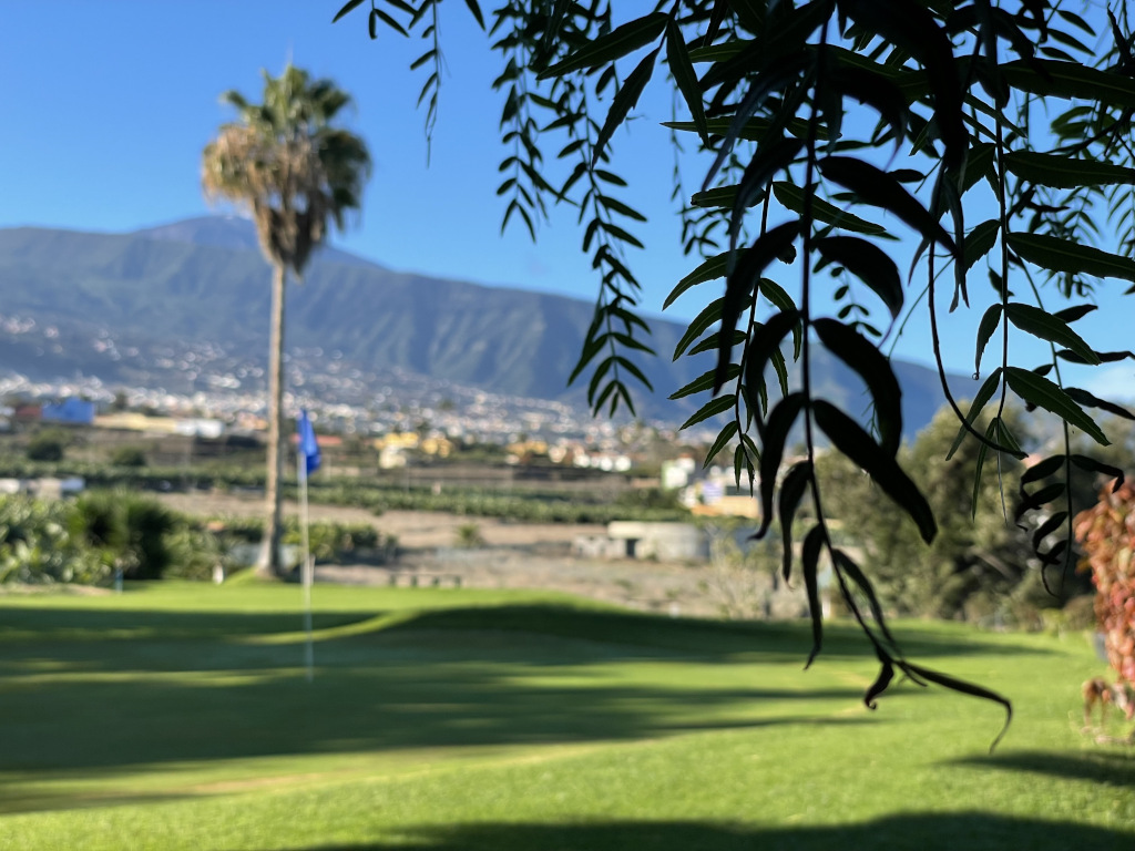 Campo de golf en Tenerife con montaña y árbol al fondo.