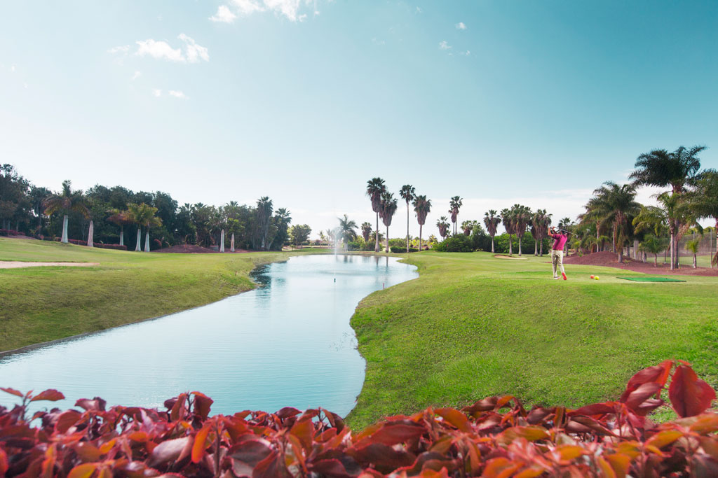 Campo de golf con palmeras y lago en Costa Adeje, Tenerife.
