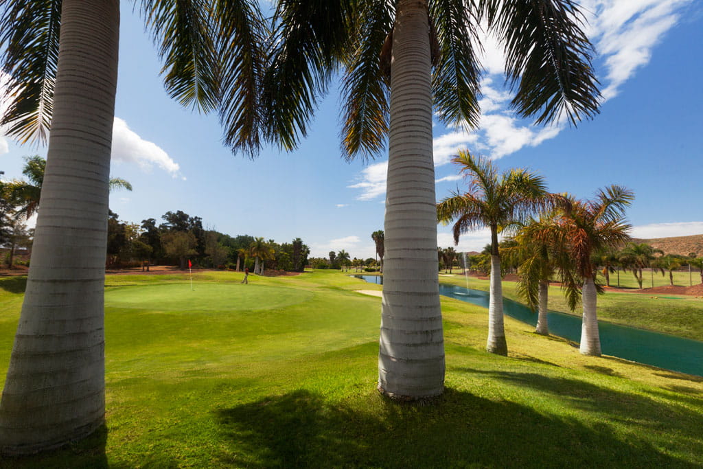 Campo de golf rodeado de palmeras en Tenerife, cielo despejado.