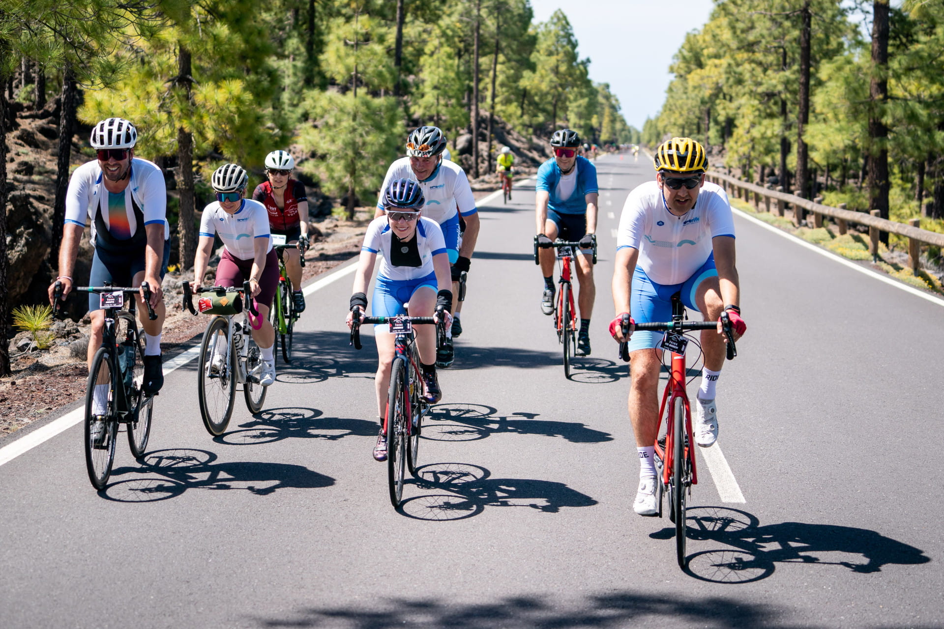 Ciclistas en carretera rodeada de pinos en Tenerife.