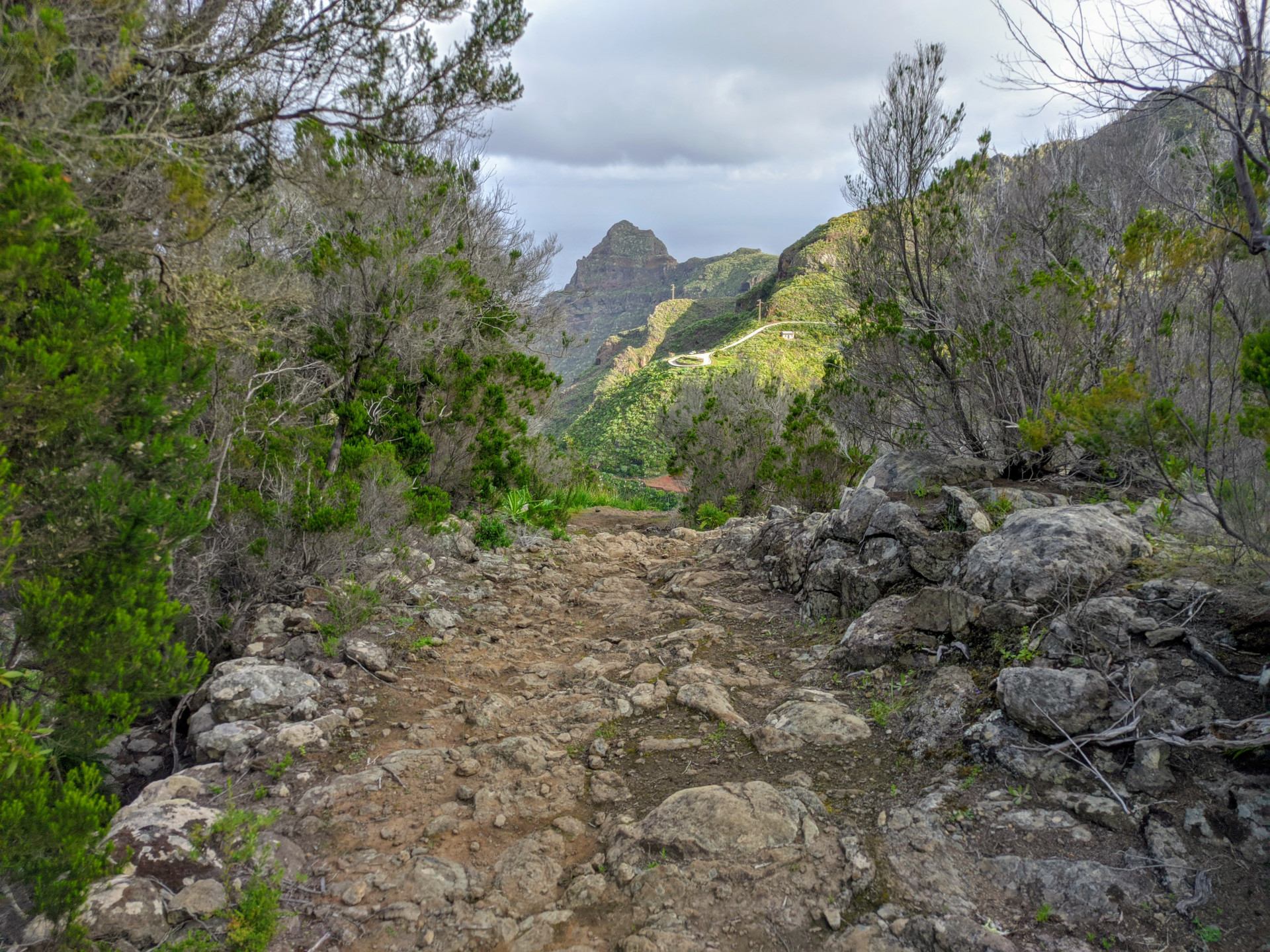 Sendero rocoso entre vegetación en el Parque Rural de Anaga, Tenerife.