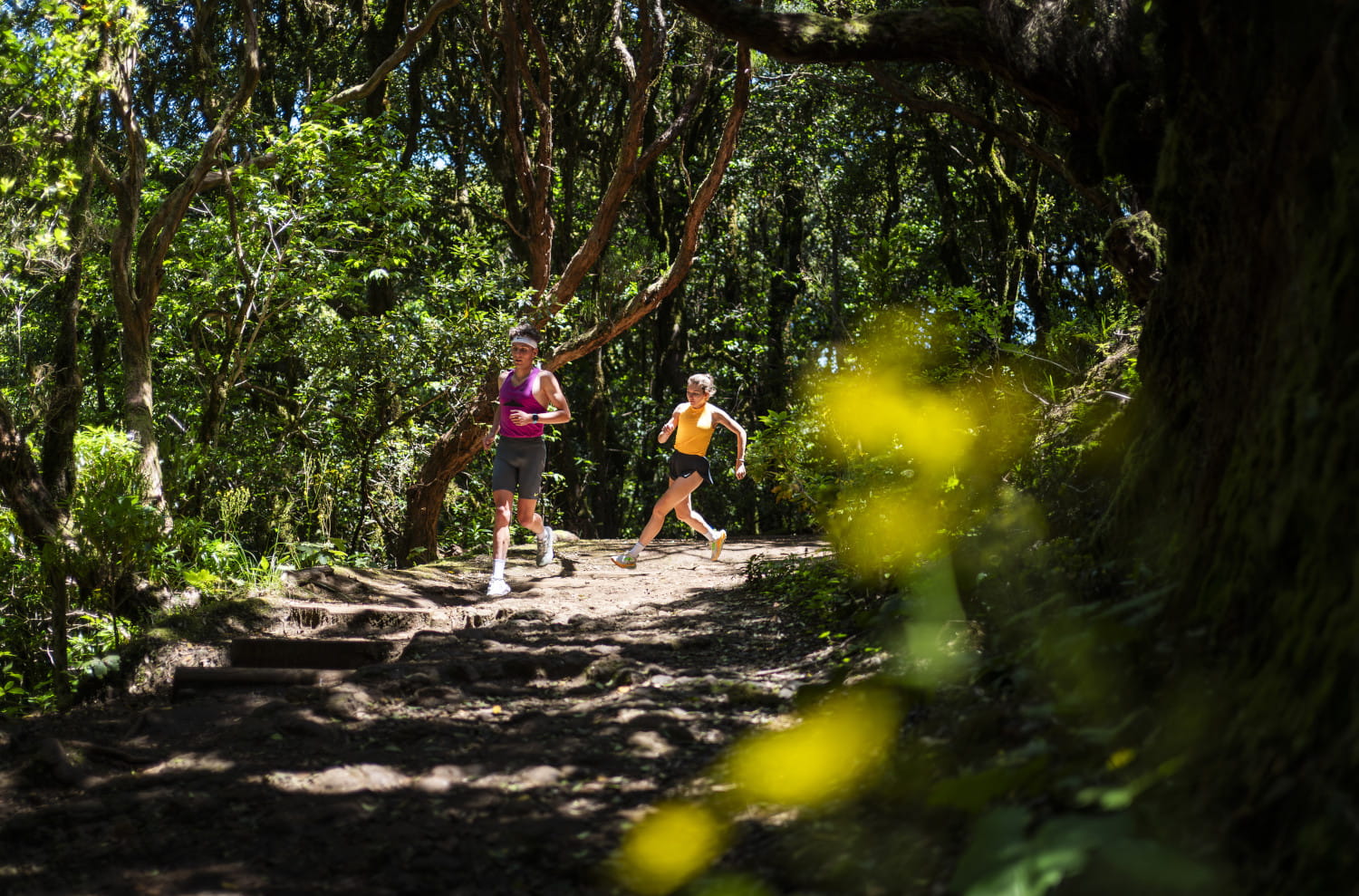 Cruz Del Carmen - El Batán - Cruz Del Carmen