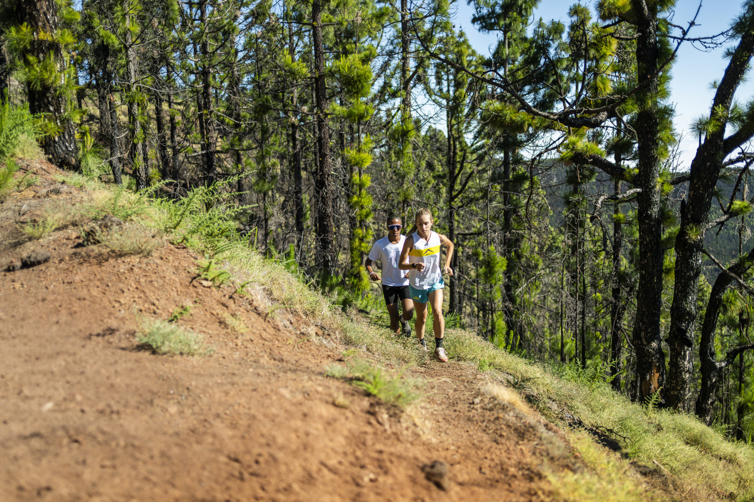 Dos personas corriendo por un sendero en un bosque de Tenerife.