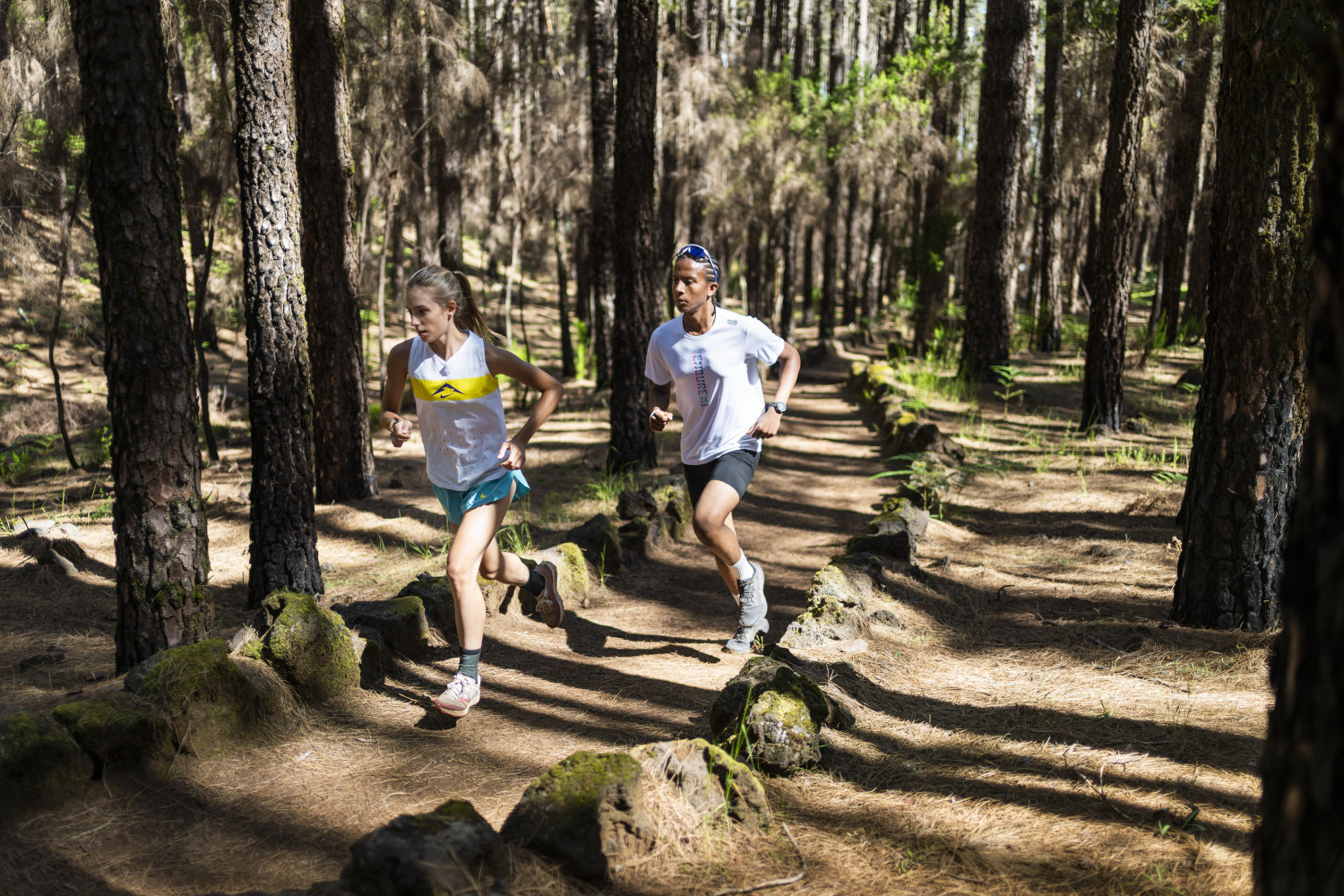 Corredores en un bosque de Tenerife, rodeados de árboles altos.