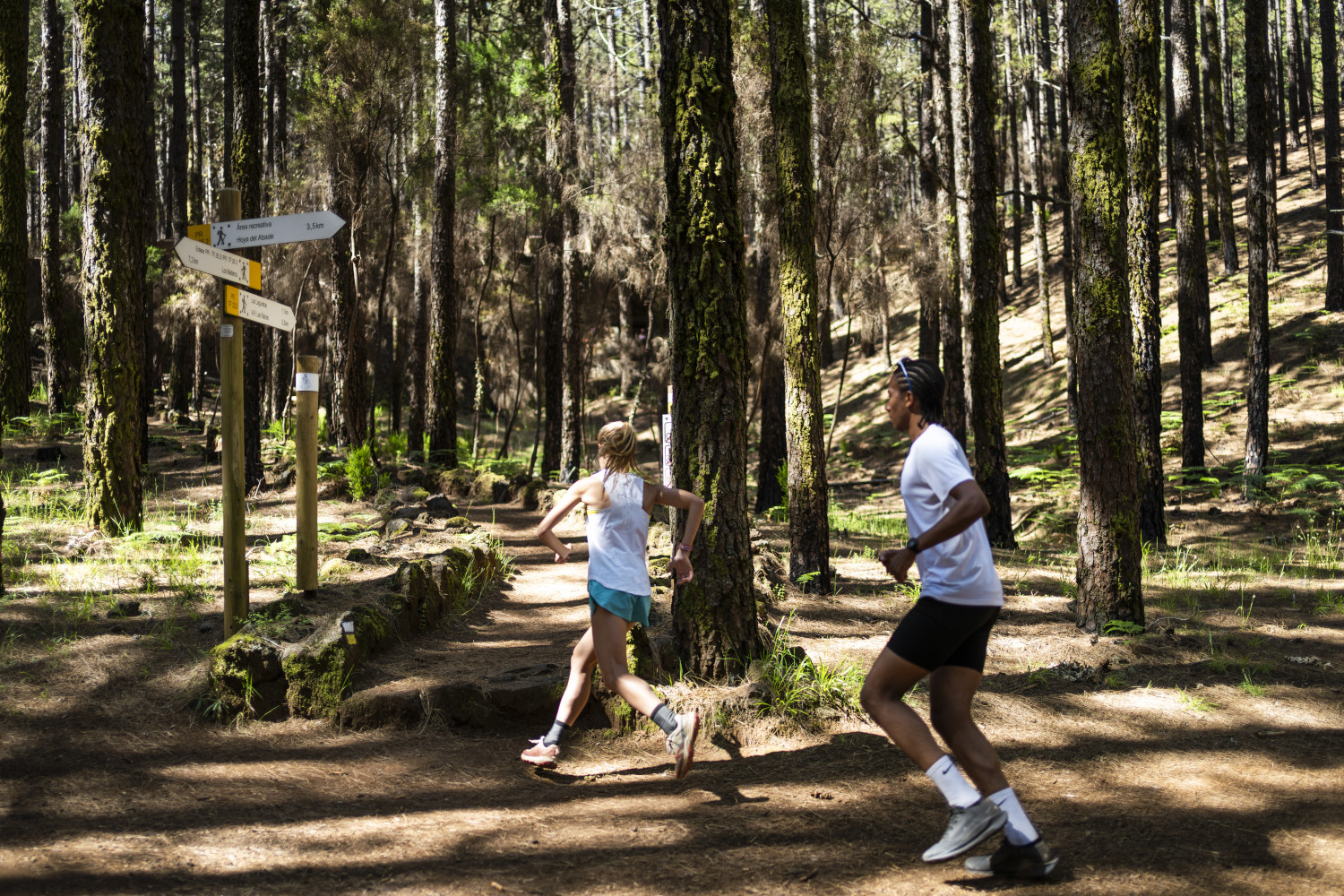 Corredores en sendero forestal con señalización de caminos en Tenerife.