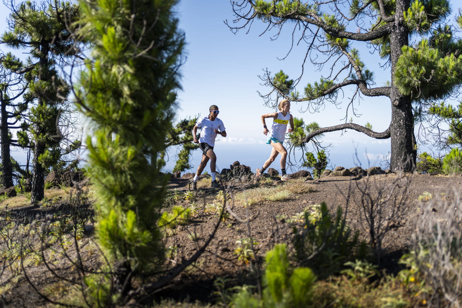 Ruta las calderetas lagunetas gaitero Tenerife