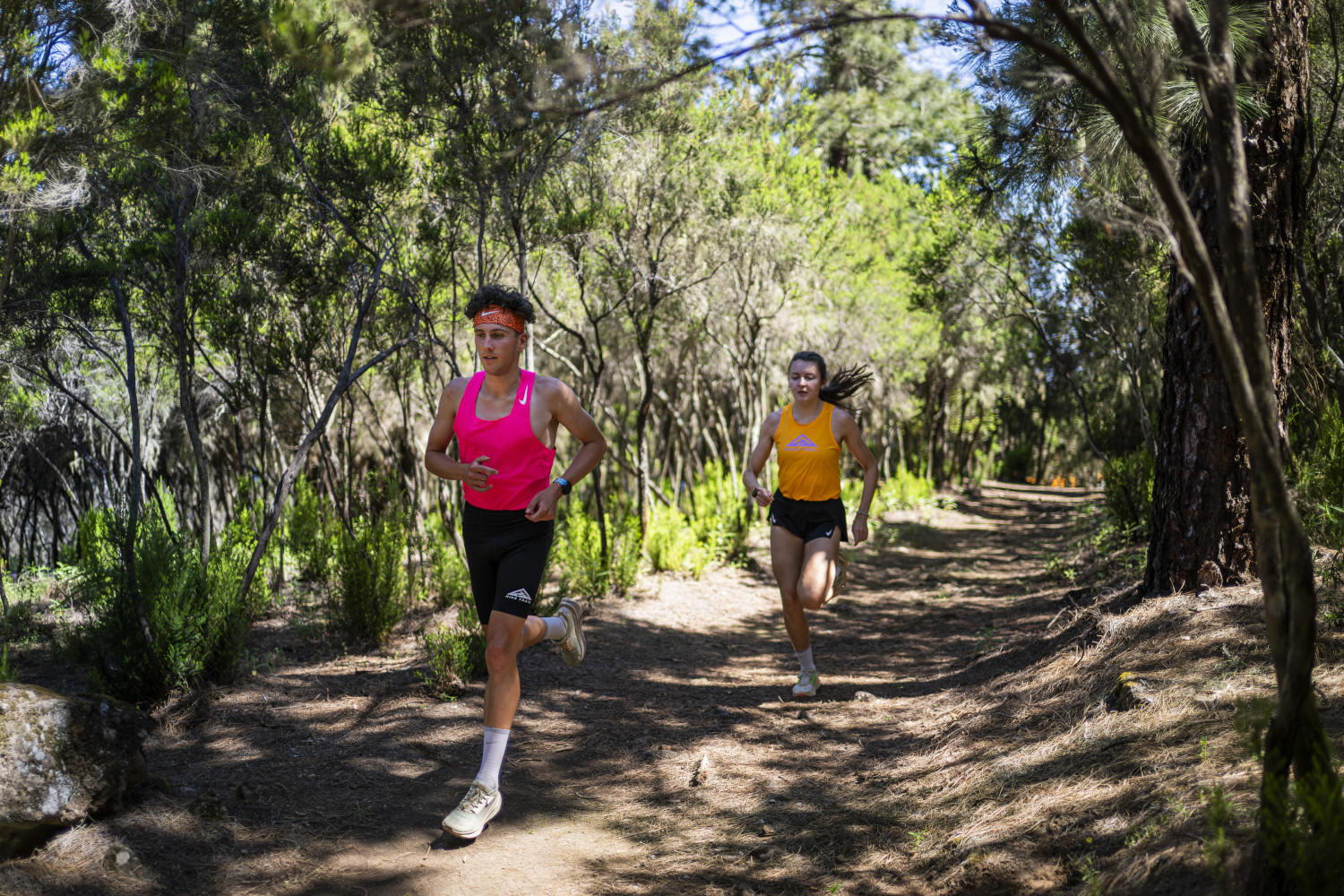 Personas corriendo en un sendero forestal en Tenerife.