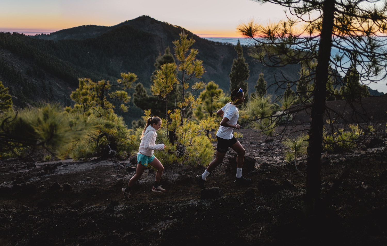 Personas corriendo al amanecer entre pinos en un sendero de Tenerife.