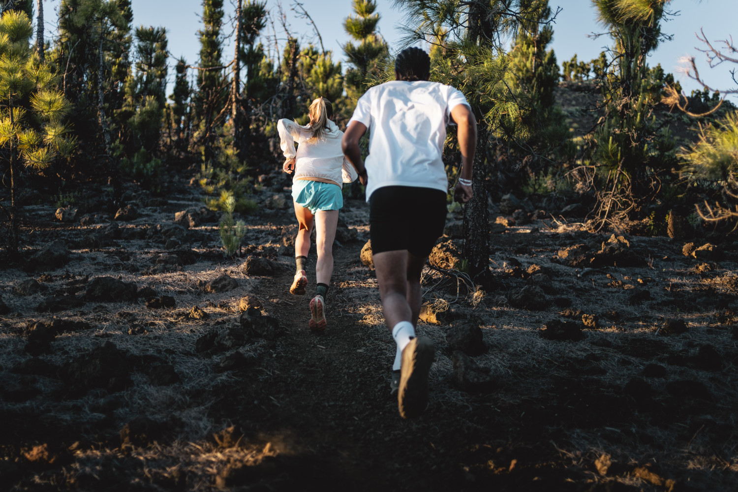 Personas corriendo por sendero boscoso en Tenerife.
