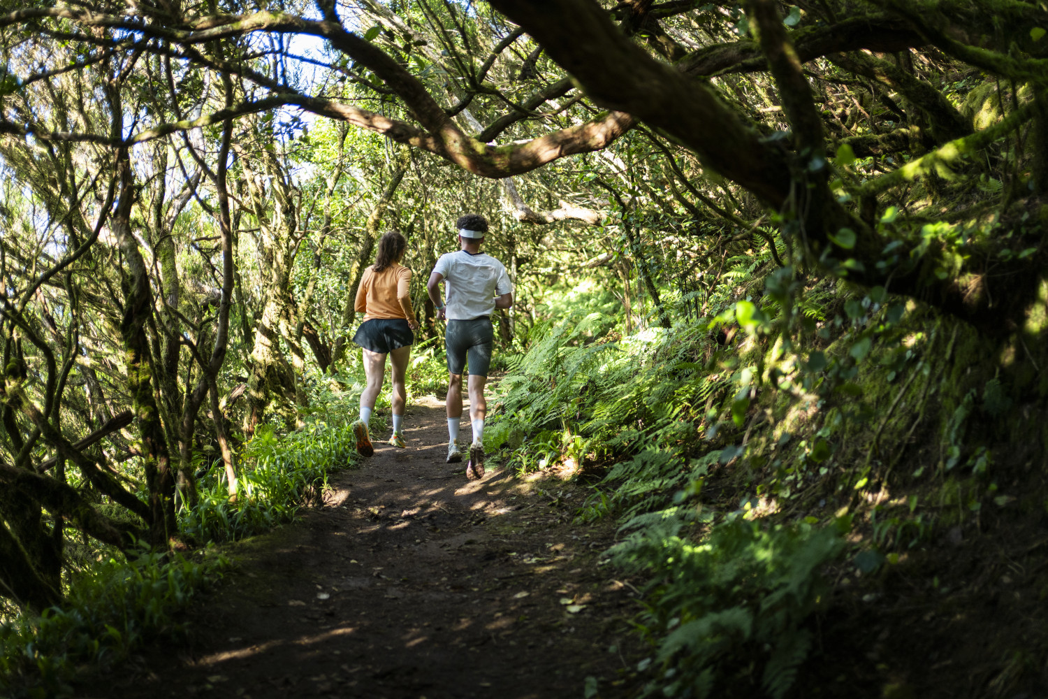 Dos personas corren por un sendero rodeado de vegetación en Tenerife.
