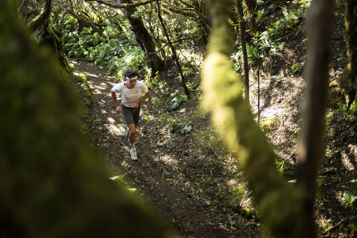 Persona corriendo por un sendero forestal en Tenerife.