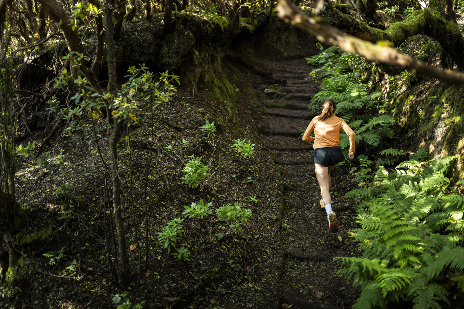 Persona corriendo por un sendero boscoso en Tenerife.