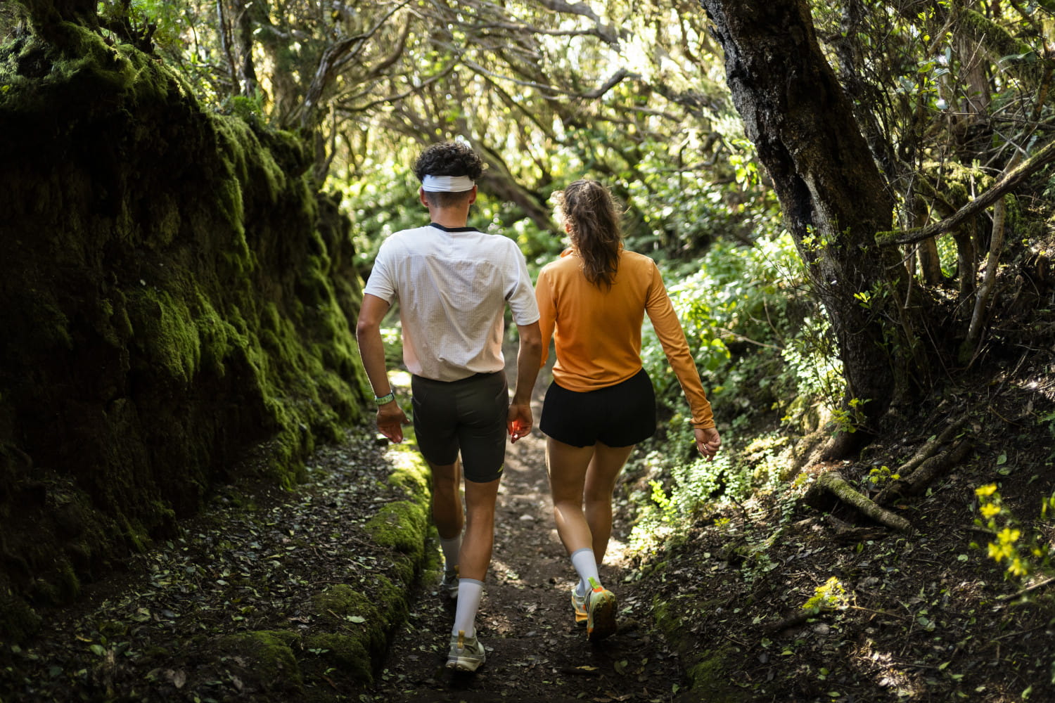 Personas caminando por un sendero rodeado de vegetación en Tenerife.