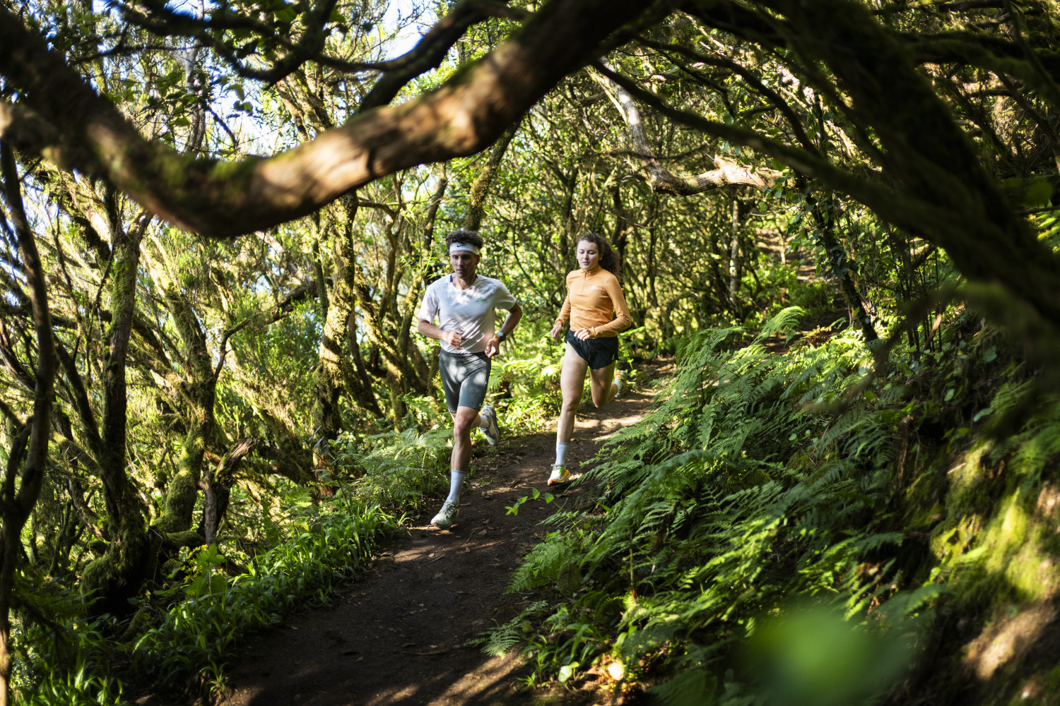 Personas corriendo por un sendero forestal en Anaga, Tenerife.